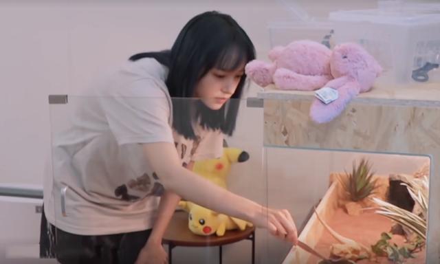 程瀟最新綜藝節(jié)目，心動瞬間，不容錯過！?