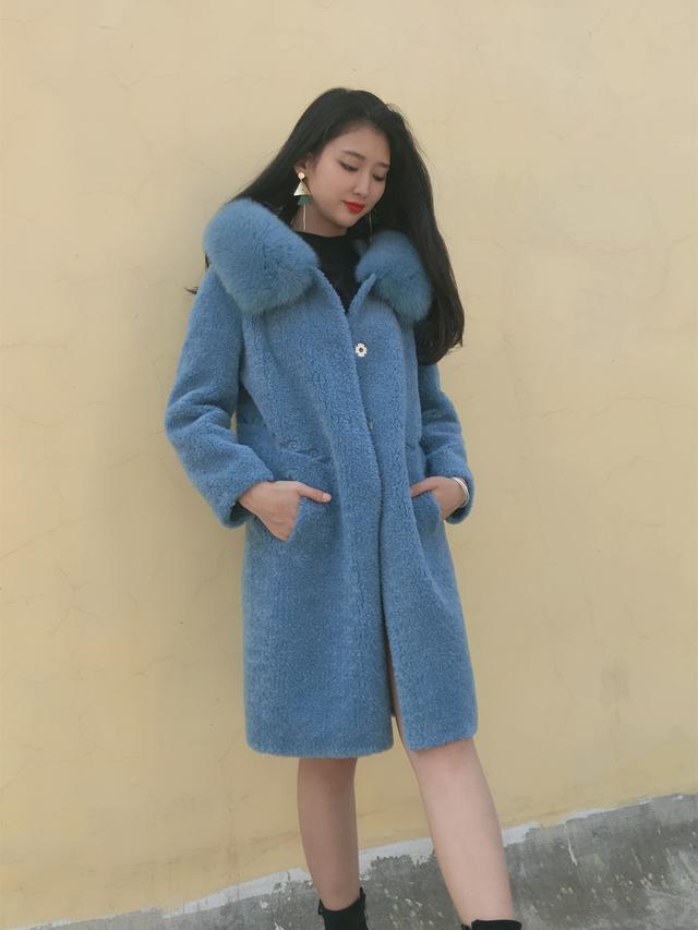 三七花最新價(jià)格揭秘，溫馨小故事中的尋找之旅