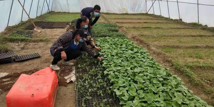 策勒最新招聘啟航人才新篇章，學(xué)習(xí)變化，擁抱自信與成就，啟程人生新征程！