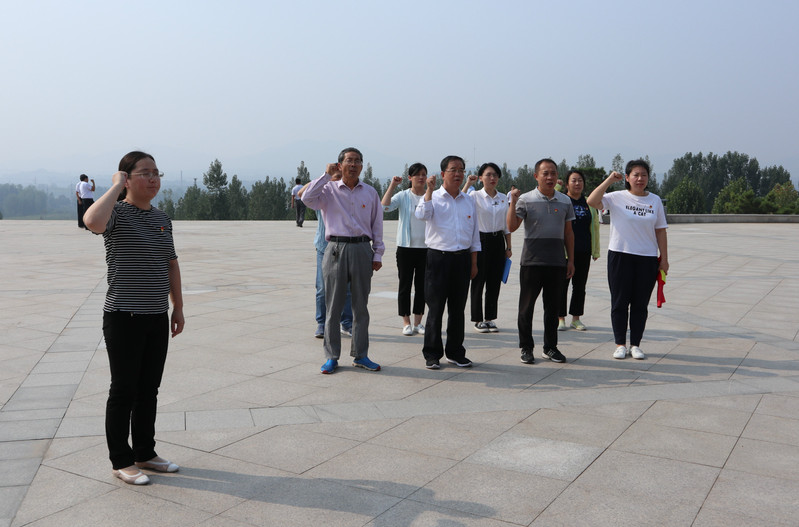 肥城房產(chǎn)最新動(dòng)態(tài)，市場走勢、熱門區(qū)域與案例分析