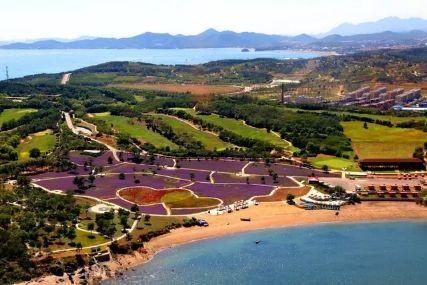 心悅海島探險(xiǎn)攻略，最新任務(wù)指南與探險(xiǎn)體驗(yàn)