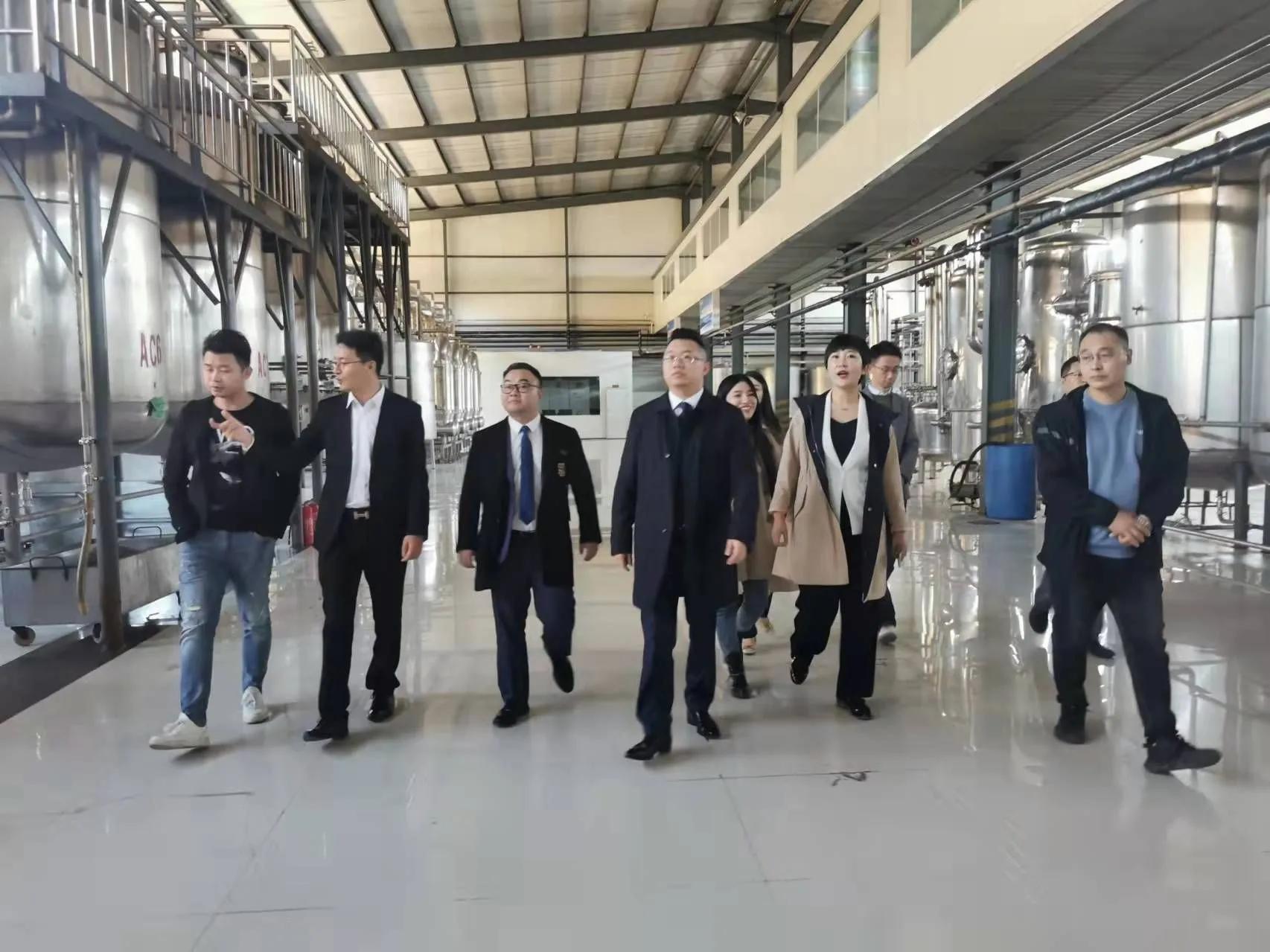 鼎恒升最新動(dòng)態(tài)，追溯特定領(lǐng)域的發(fā)展歷程與重要地位