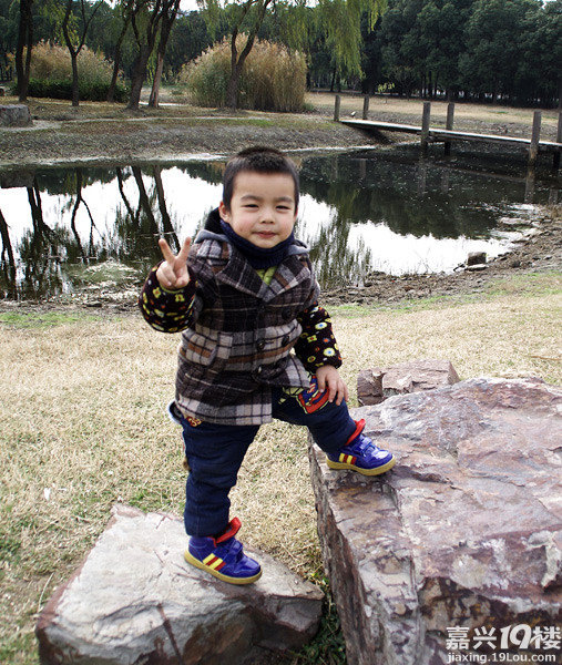 小六最新，時代背景下的重要印記與事件回顧