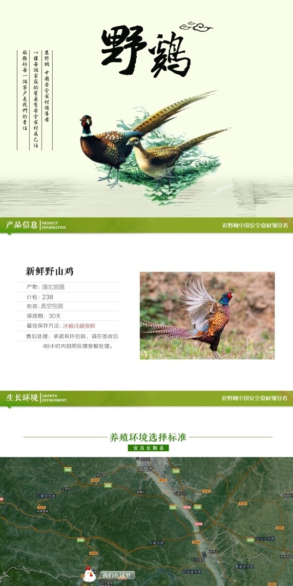 深度剖析，最新山雞的背景、事件與地位概述