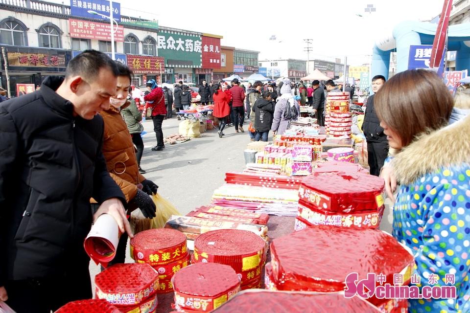 淘元素最新，淘淘的奇妙冒險之旅與友情的溫暖體驗