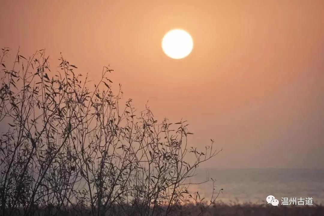 最新瘟疫詩詞，時代之聲與人文關(guān)懷的交融展現(xiàn)