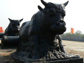 鐵牛視頻最新精彩呈現(xiàn)，領(lǐng)略與眾不同的世界！