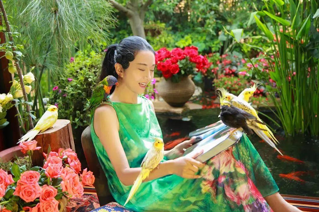 昆明最新舞蹈，文化現(xiàn)象的深度探討