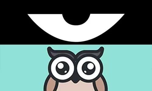 最新積目，全面解讀與觀點(diǎn)闡述