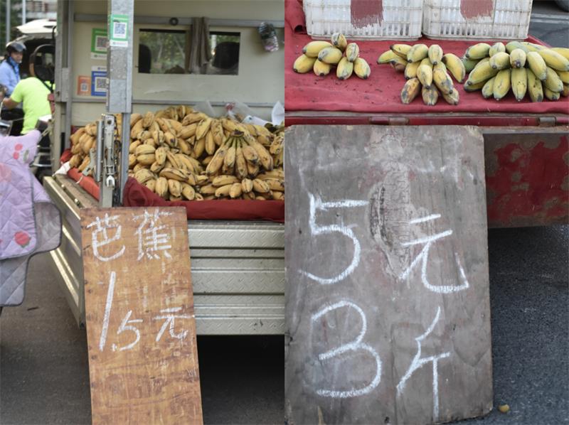 芭蕉最新價(jià)格，開啟心靈平靜的綠色之旅