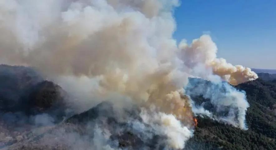 榆社山火防控指南，從初學者到進階用戶的全步驟學習與防火任務(wù)實踐