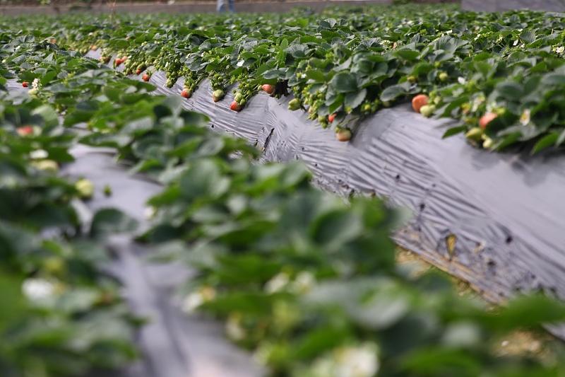 湖北最新封鎖，科技智能重塑防線，守護(hù)生活安全