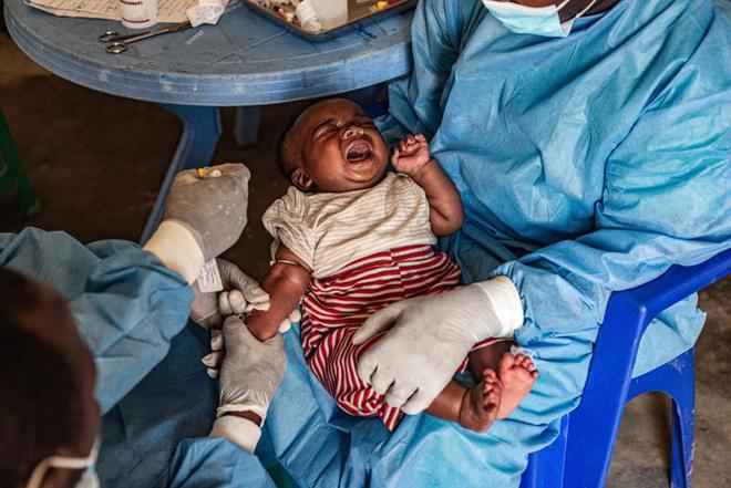 本土感染最新情況，自然美景中的探索之旅