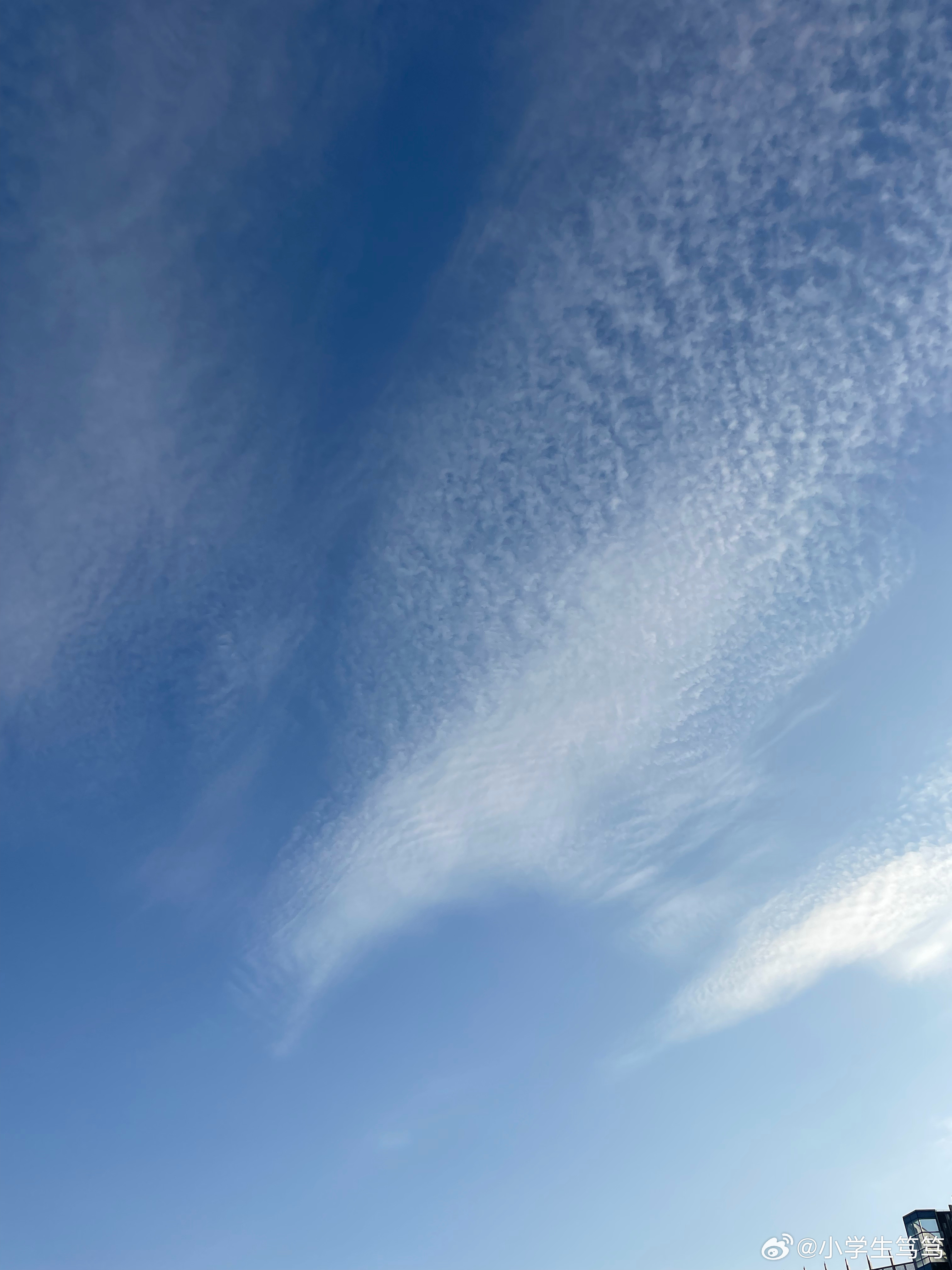 云飄飄最新，小巷深處的獨(dú)特風(fēng)味美食體驗(yàn)