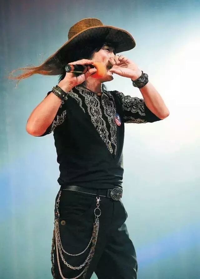 指哨最新，自然美景之旅，探尋內(nèi)心平靜與喜悅的旅程