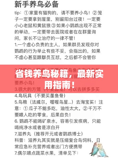 最新養(yǎng)鳥(niǎo)法規(guī)解析，觀(guān)點(diǎn)闡述與深度探討
