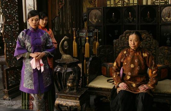 鐵梨花最新更新，日常生活中的趣事與情感紐帶