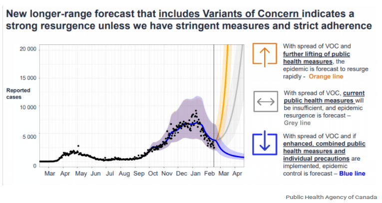 約克最新疫情動態(tài)，學習變化中的自信與成就力量