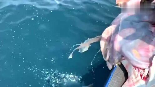 最新魚人流技術(shù)革命，高科技產(chǎn)品重塑未來生活體驗(yàn)