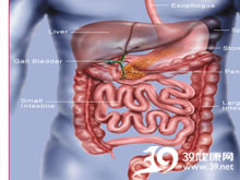 高科技產(chǎn)品重塑生活，體驗(yàn)前沿魅力，探索腸鳴最新技術(shù)