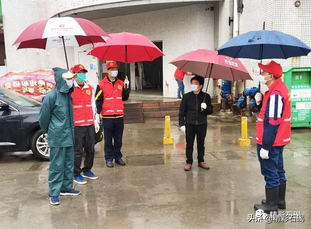 石碣最新疫情動態(tài)，變化中的學習，鑄就未來力量