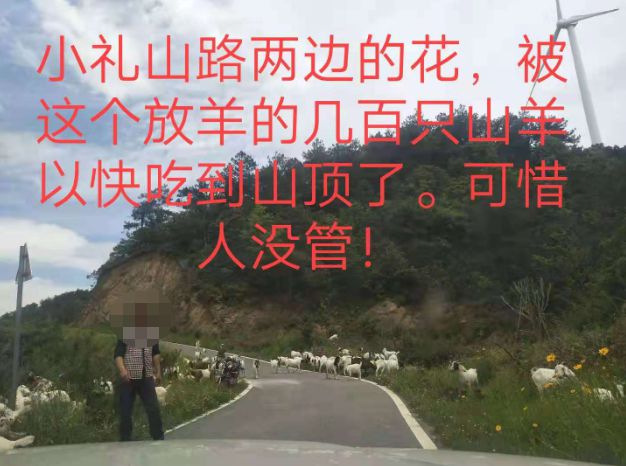 大悟最新路，探索未知，自信成就夢(mèng)想之旅的啟程