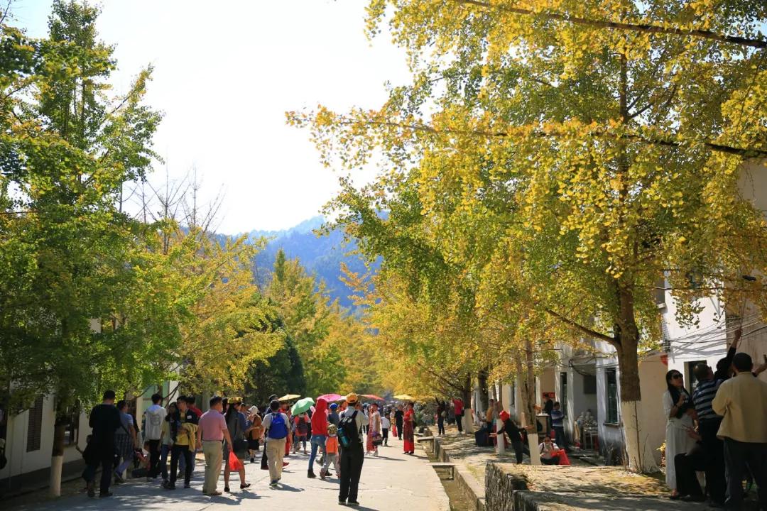 南雄最新現(xiàn)狀，科技前沿產(chǎn)品引領(lǐng)未來生活發(fā)展