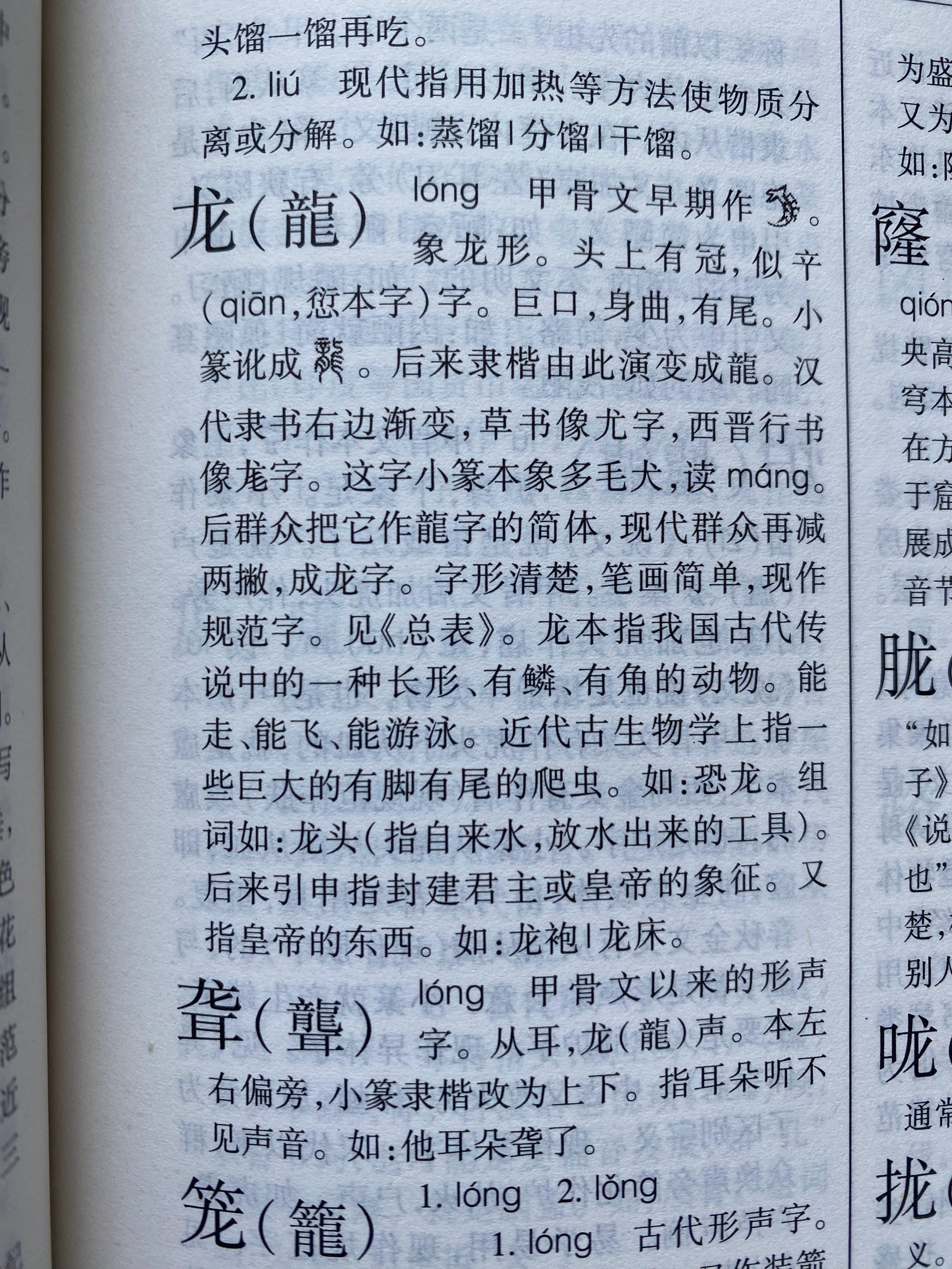 龍組詞最新，探索神秘詞匯世界，領略龍的魅力詞匯