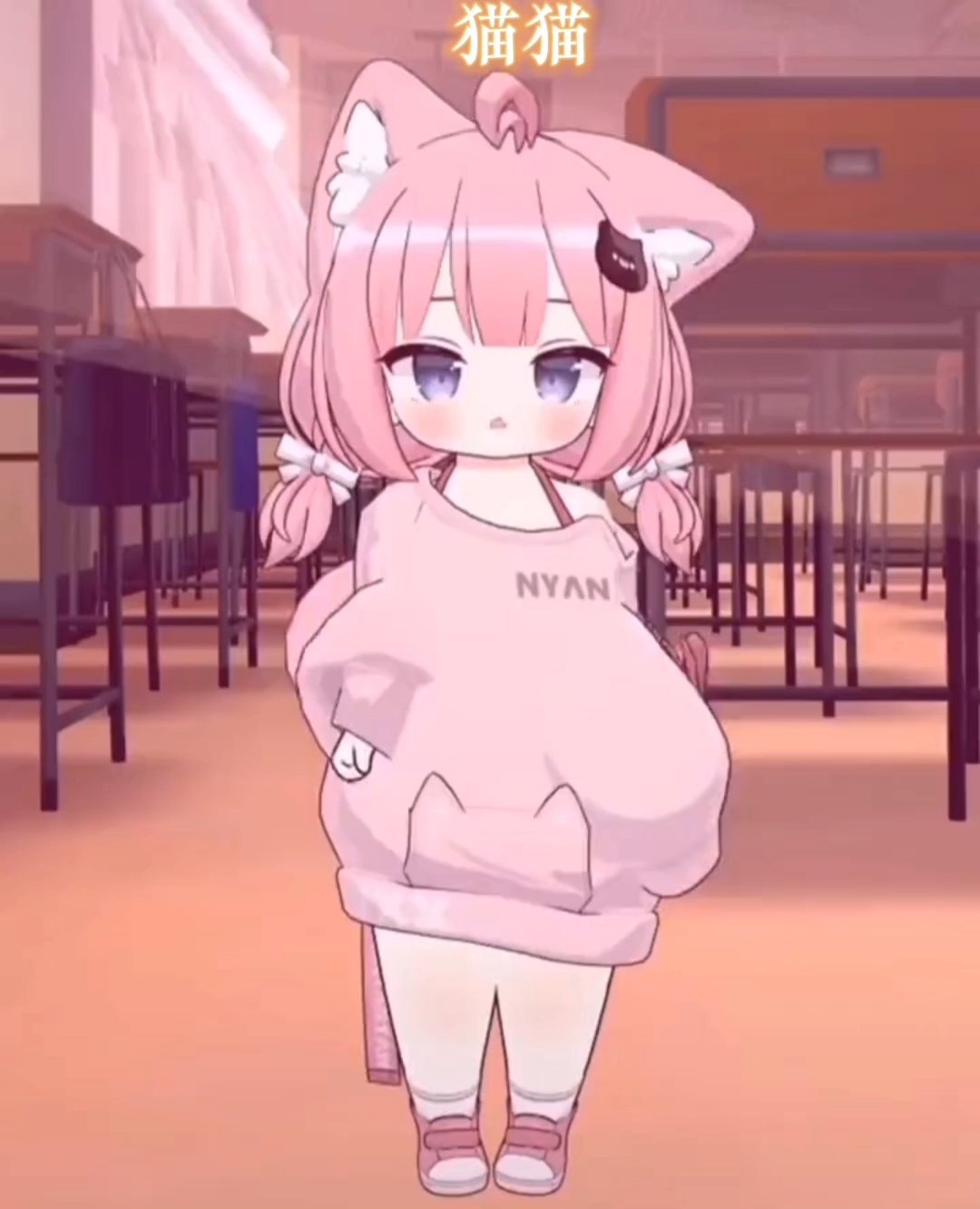 貓妹妹最新動(dòng)態(tài)，萌態(tài)盡顯，溫暖你的心??