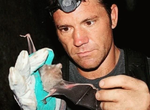 蝙蝠最新電影，自信與成長的翅膀，勵志翱翔天空之旅