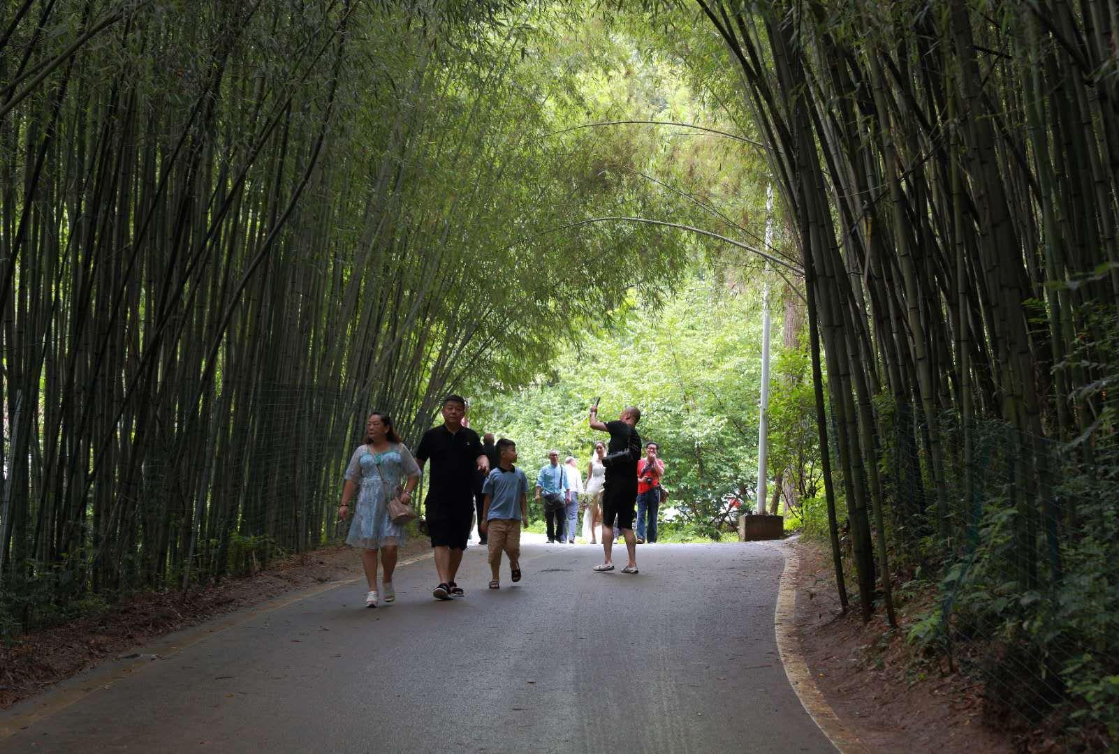 全家最新優(yōu)惠攻略，一步步教你享受最大優(yōu)惠折扣！