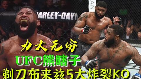 小菊最新比賽，友誼與夢(mèng)想的絢爛綻放