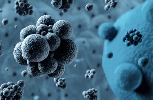 病毒擴(kuò)散最新情況，自然探險(xiǎn)之旅尋求內(nèi)心平和之地