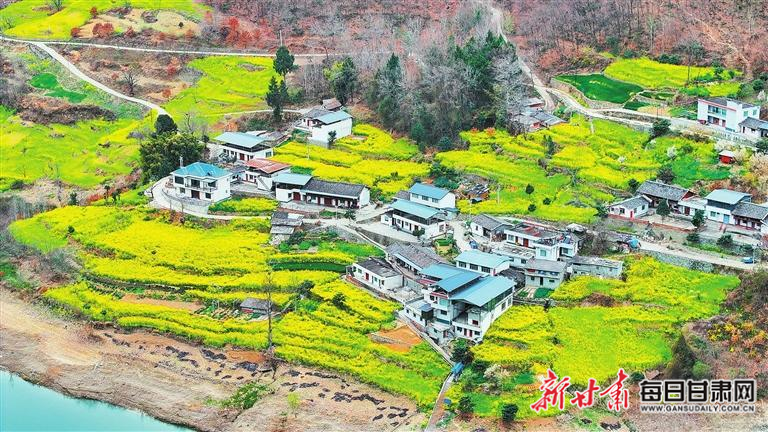 揭秘文縣，歷史背景、重大事件與時代地位全景展示