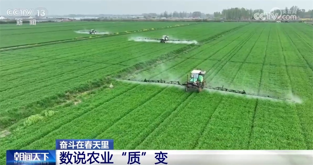 最新農(nóng)業(yè)農(nóng)村發(fā)展，播種希望，收獲自信與成就感