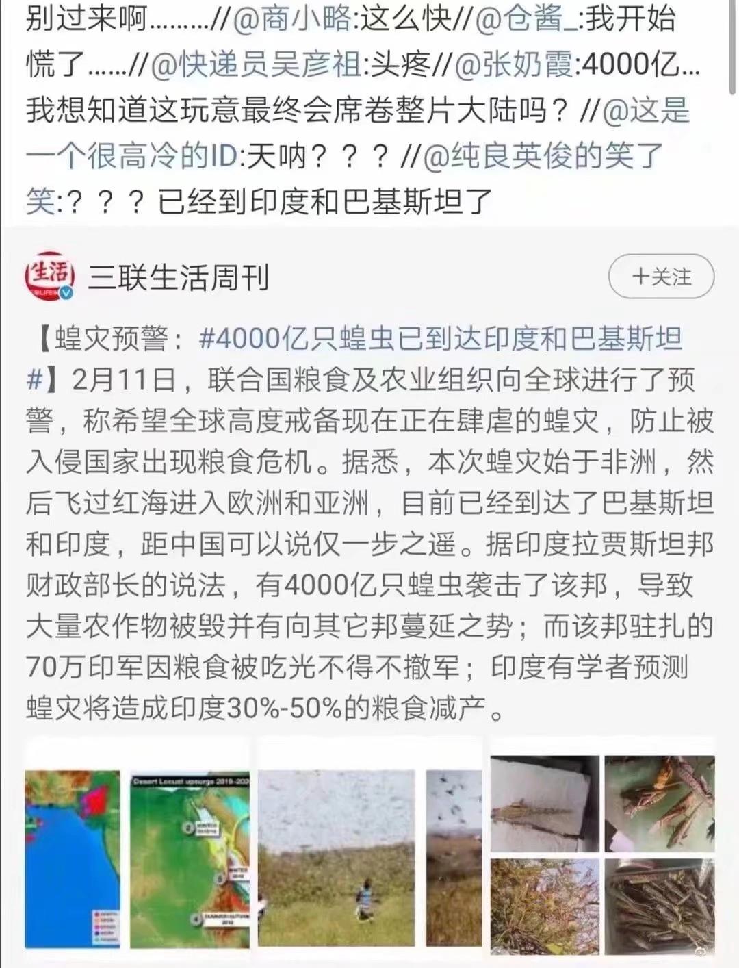 蝗蟲最新動態(tài)，防治與監(jiān)測的全面指南