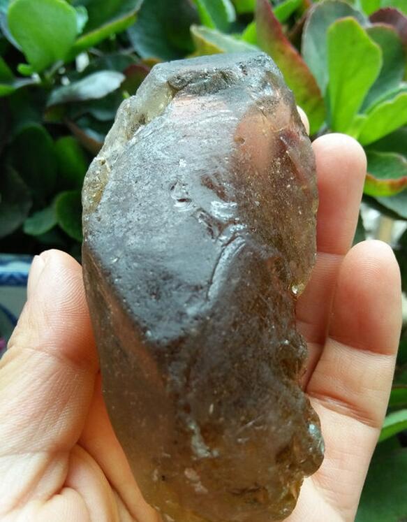 最新鑒定法，揭示友情的印記與家的溫馨