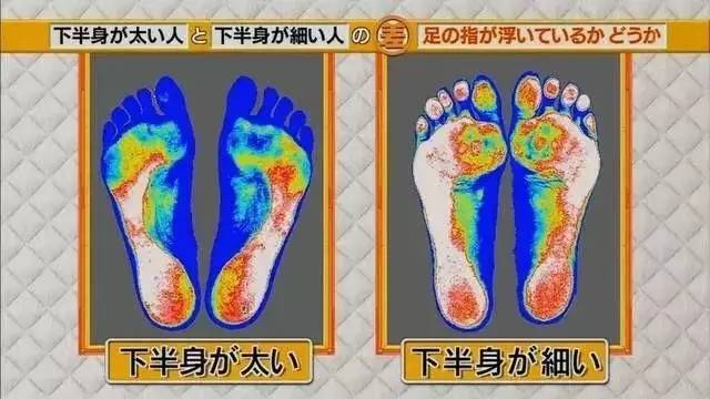 最新地趾論述，探索、爭議與觀點綜述