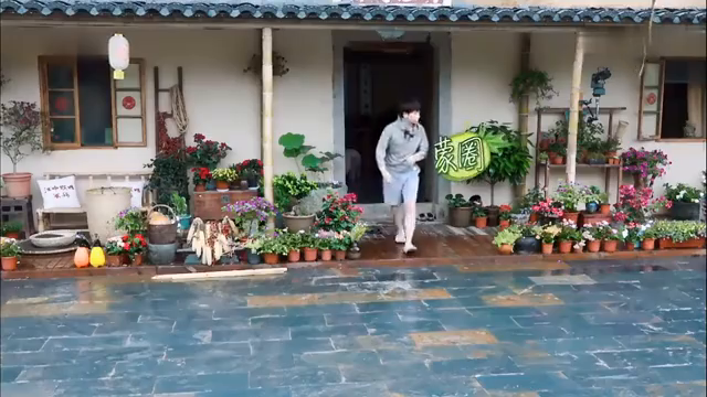 最新蘑菇屋，自然與生活完美融合的夢幻之地