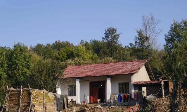 新時(shí)代田園生活揭秘，鄉(xiāng)村農(nóng)村的最新風(fēng)貌與體驗(yàn)