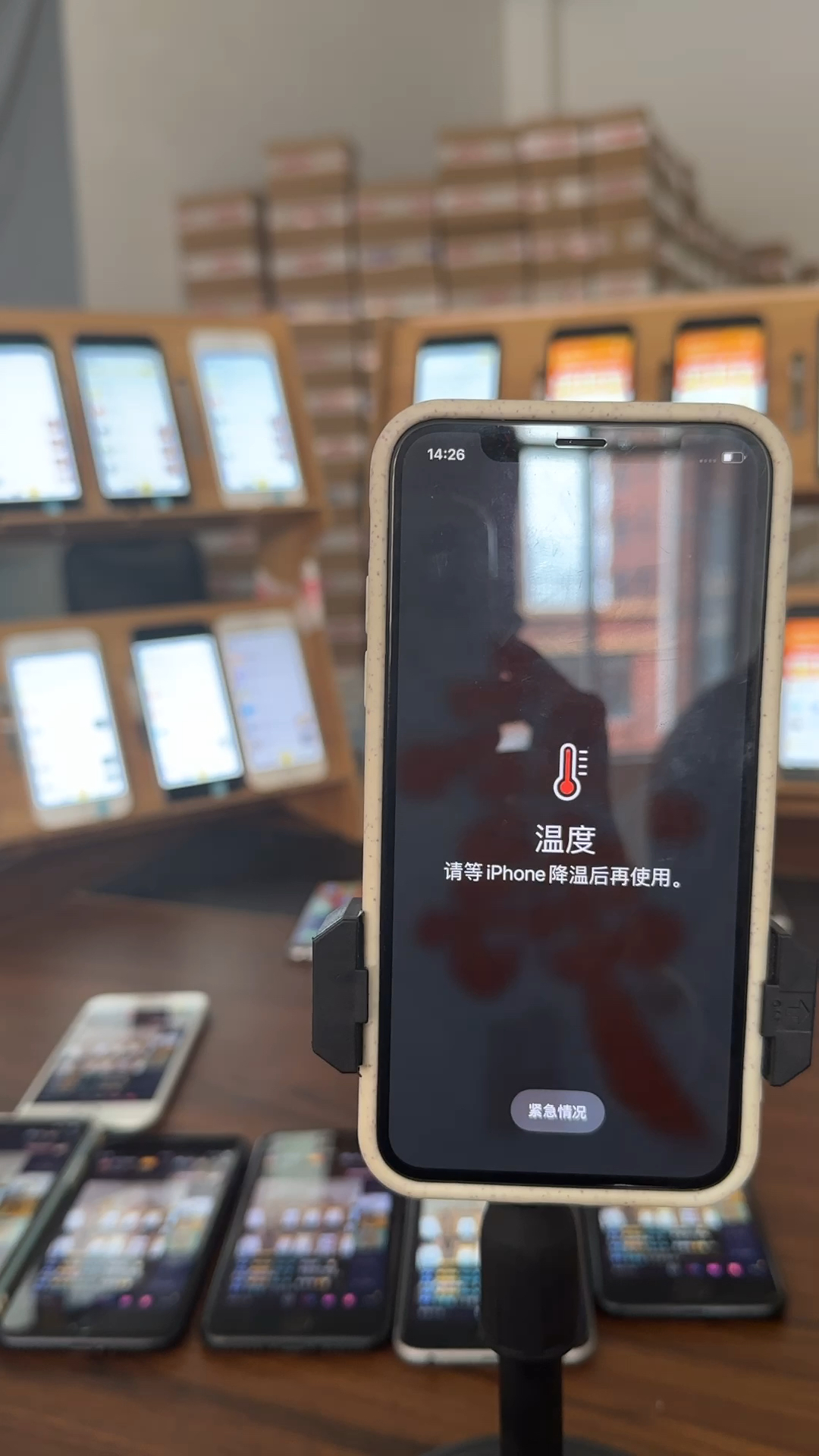 蘋(píng)果最新直播，科技與文化的完美融合盛宴