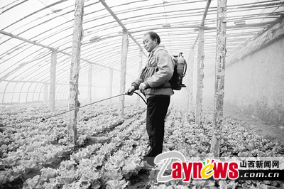 最新農(nóng)藥抽檢結(jié)果出爐，守護(hù)農(nóng)田安全，你我他的共同責(zé)任