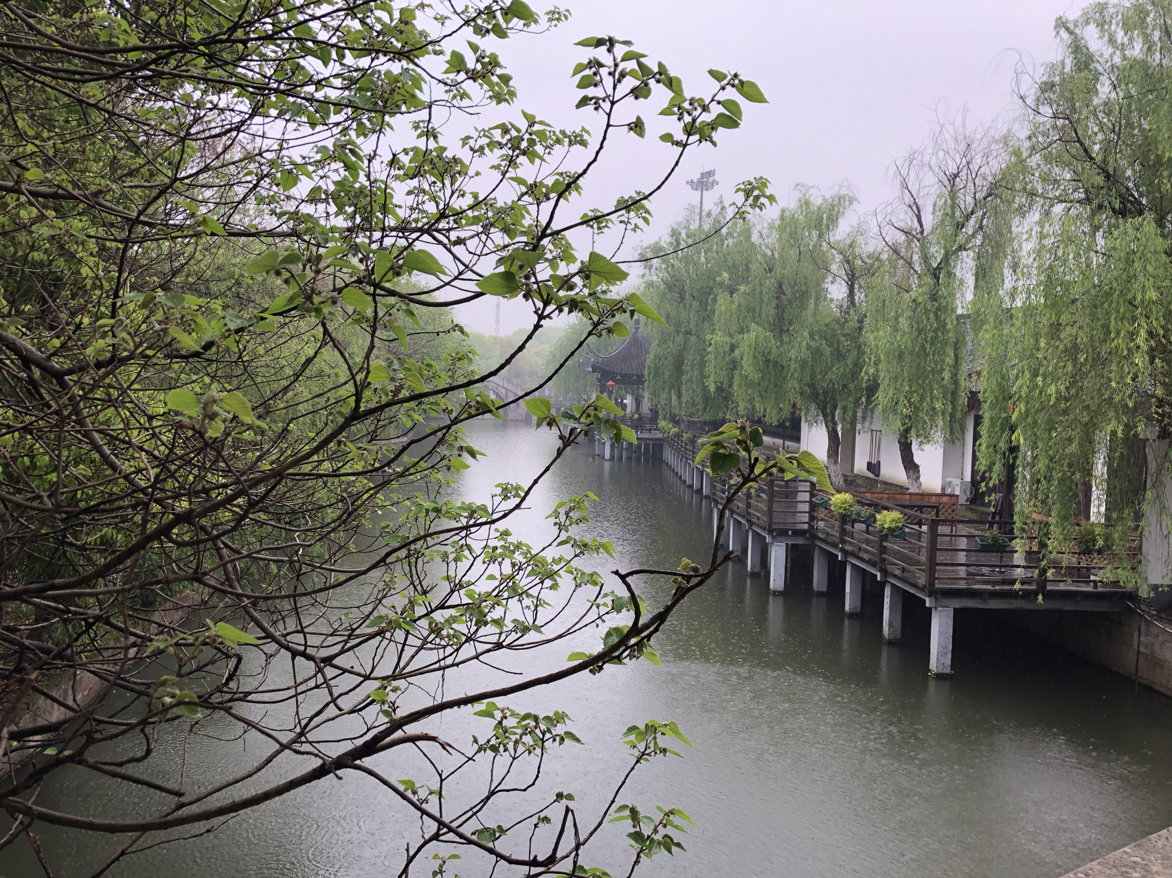 江南煙雨最新，自信與成就感的成長(zhǎng)之旅