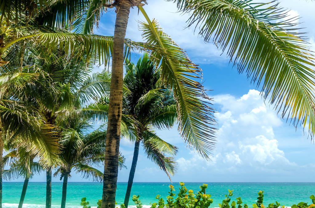 科技重塑旅行體驗(yàn)，最新付費(fèi)機(jī)場(chǎng)概覽