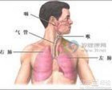 咸豐肺炎最新全面指南與詳解，癥狀、治療、步驟解析