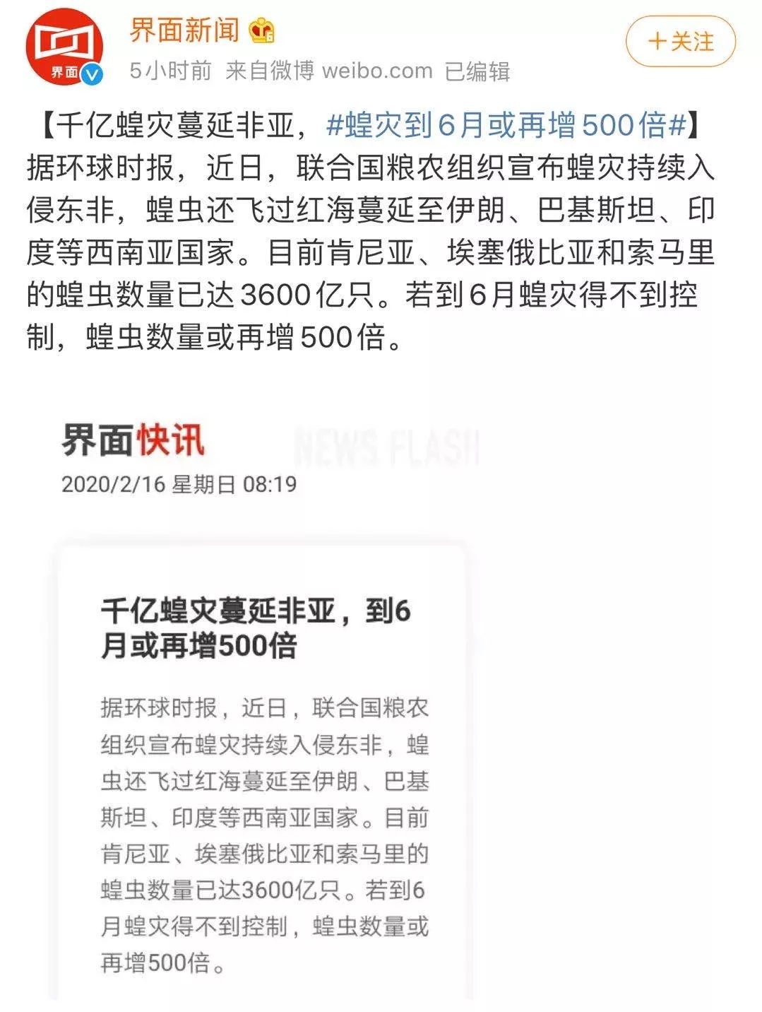 世界蝗災(zāi)最新動(dòng)態(tài)，探索自然美景的輕松之旅