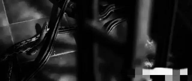 香港最新房?jī)r(jià)趨勢(shì)展望，2025年分析與展望