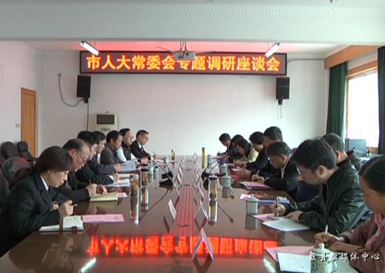 安徽歙縣最新動態(tài)，小巷深處的驚喜