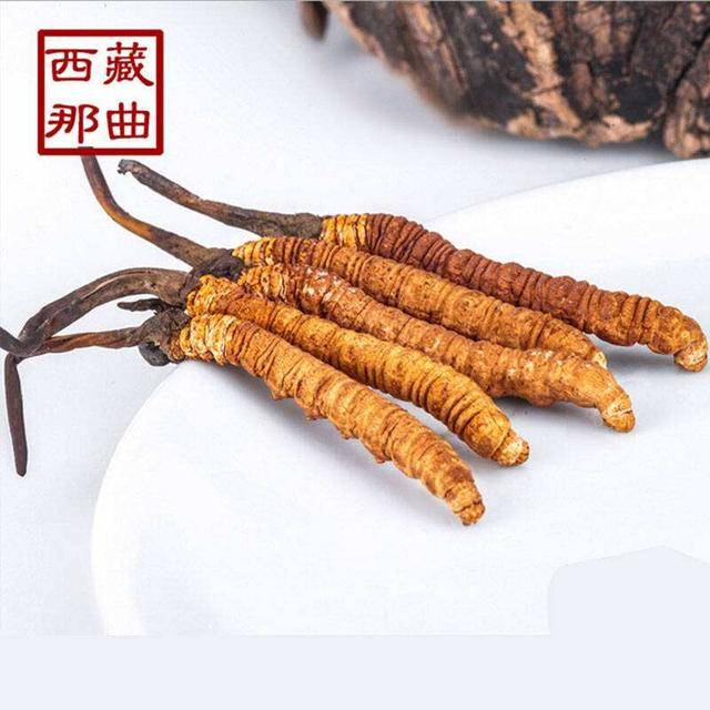 揭秘2025年蟲草最新價(jià)格，探尋小巷中的秘密行情！