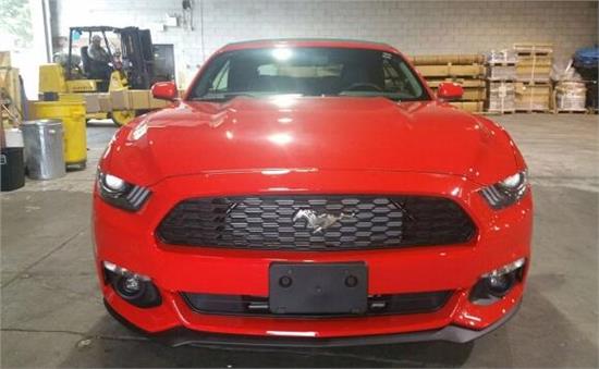 威路德最新款，小巷中的驚喜發(fā)現(xiàn)